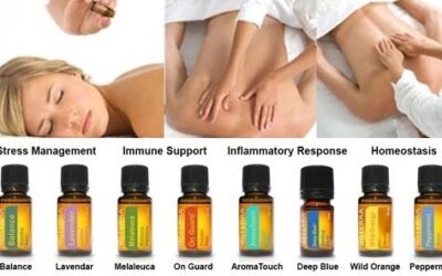 Aroma Touch Technik – sanfte Massage mit 8 Ölen.