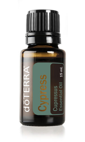 Cypresse 15ml "Öl der Bewegung und des Flusses"
