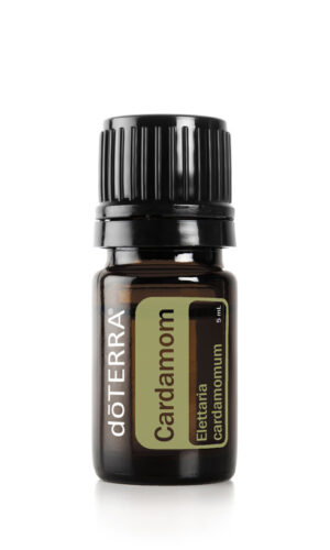 Cardamon 5 ml "Öl der Objektivität"