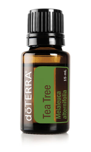 Tea Tree Melaleuca 15ml "Öl der energetischen Abgrenzung"