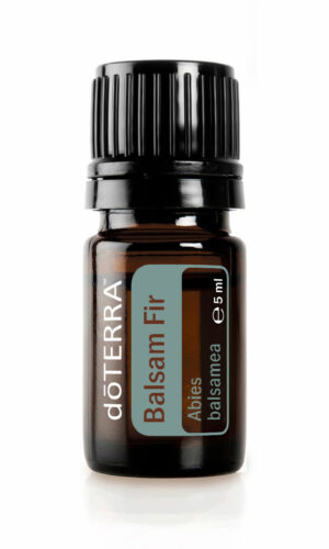 Balsam Fir - Balsam Tanne